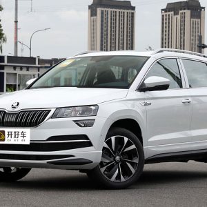 Skoda Karoq 2025